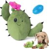 Dog Cactus Toy Anime Crossover Adventure