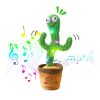 Cactus Toy Cultural Adaptation Exploration