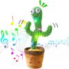 Mocking Cactus Toy Sparks Celebrity Dance Craze