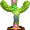 Cactus Mimic Toy Honest User Reviews