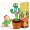 Interactive Fun with Cactus Toy Design