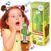 The Popularity of Talking Cactus Toys