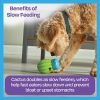 Functional Benefits of Cactus Dog Toys