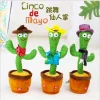 Innovative Design of Cactus Dancing Toy