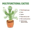 Talking Cactus Toy Captivates Pop Culture Scene