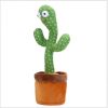 Innovative Talking Cactus Toy Revolutionizes Communication