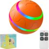 2024-08-31_13-26-38_Innovative Moving Ball Pet Toy Technology