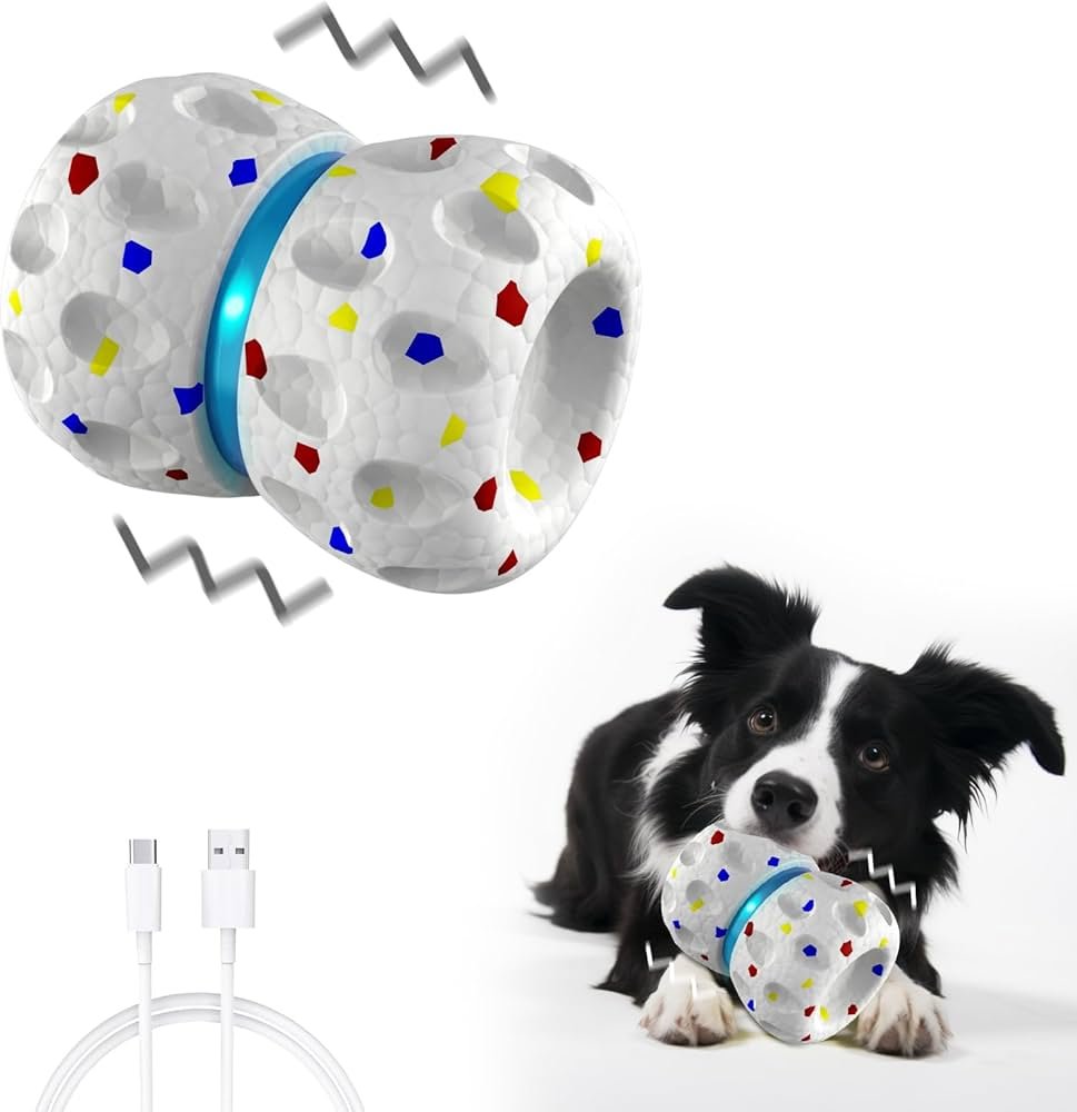 2024-08-31_18-52-32_Cultural Significance of Moving Pet Toy Balls