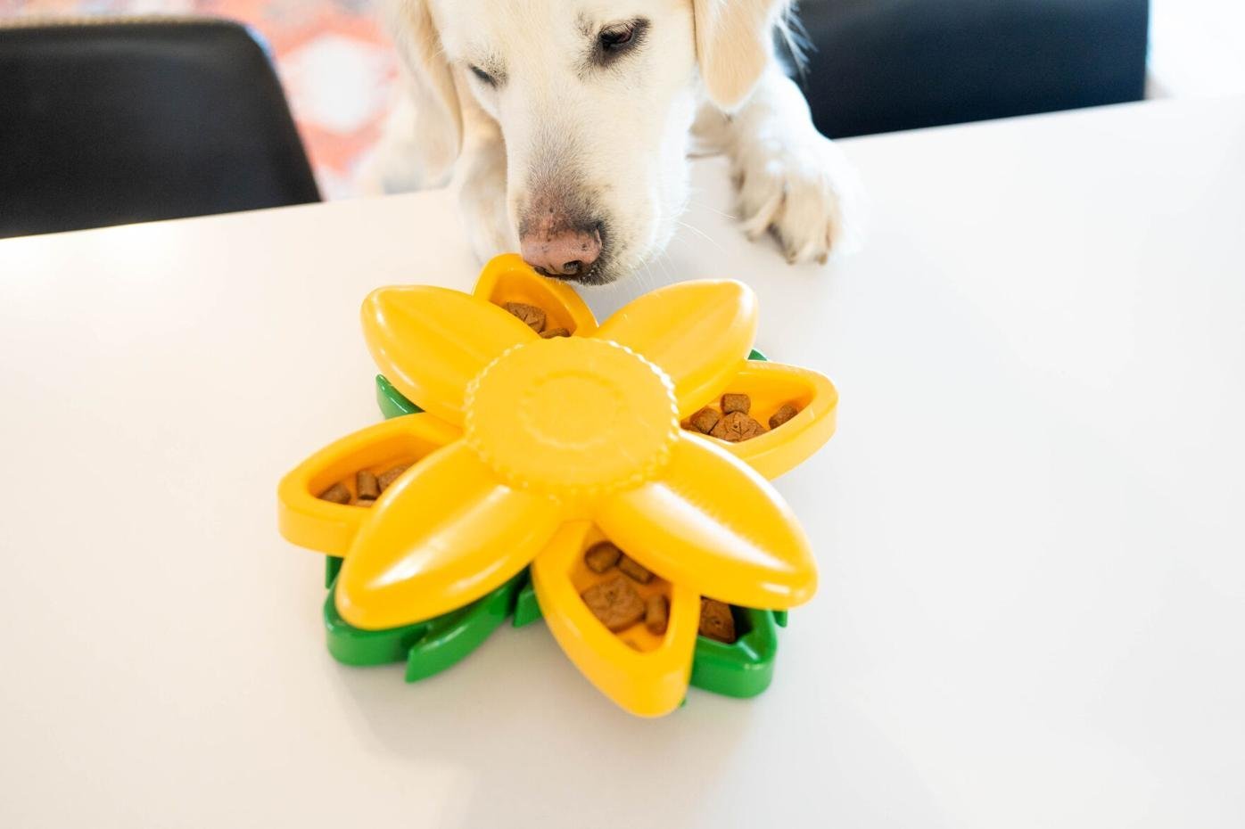 How to Build Brand Loyalty Through Moving Toys for Pets