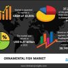 2024-08-31_13-30-33_Global Market Trends for Moving Fish Toys