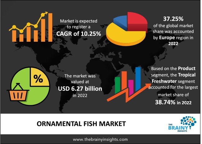 2024-08-31_13-30-33_Global Market Trends for Moving Fish Toys