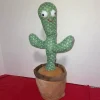 Discovering the Magic of the Dancing Cactus Toy